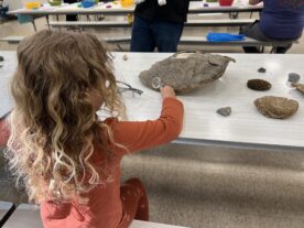 Young child exploring water during Little Explorers STEAM Night