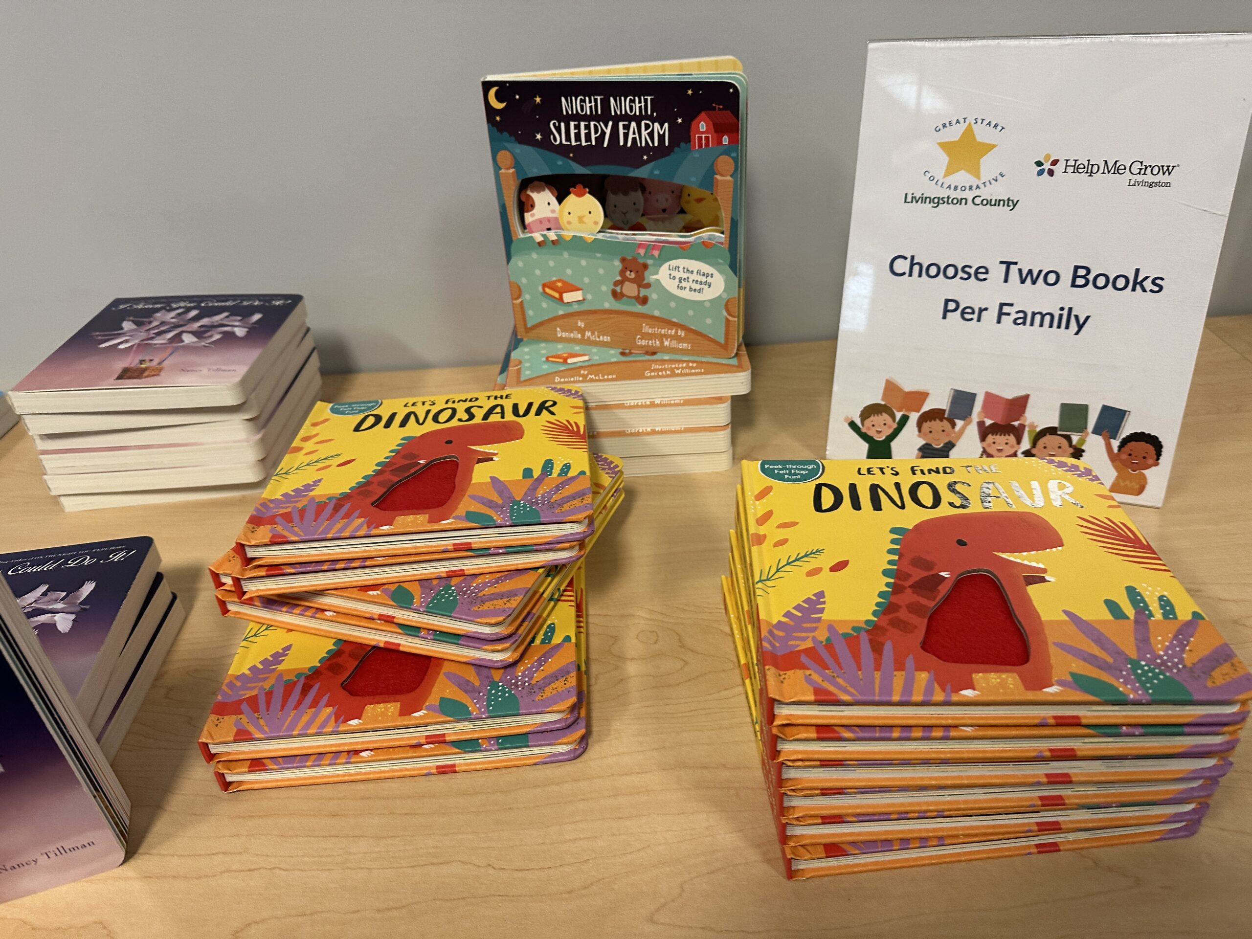 Children's books available for Livingston County families to choose at a Great Start Livingston literacy workshop