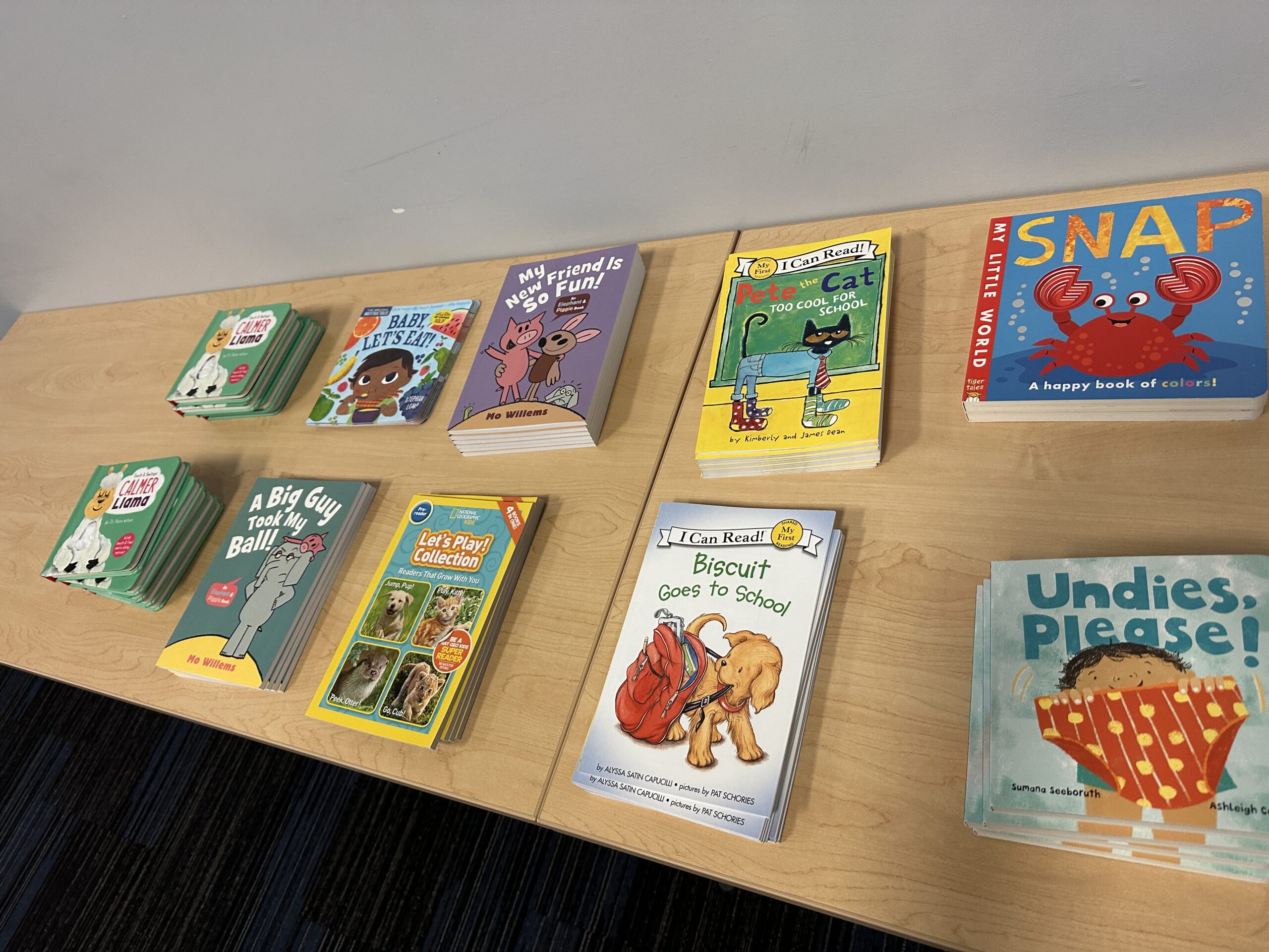 Early literacy books available for families at the Great Start Livingston parent workshop